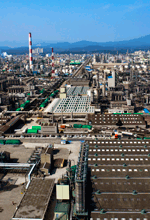 Ulsan Plant